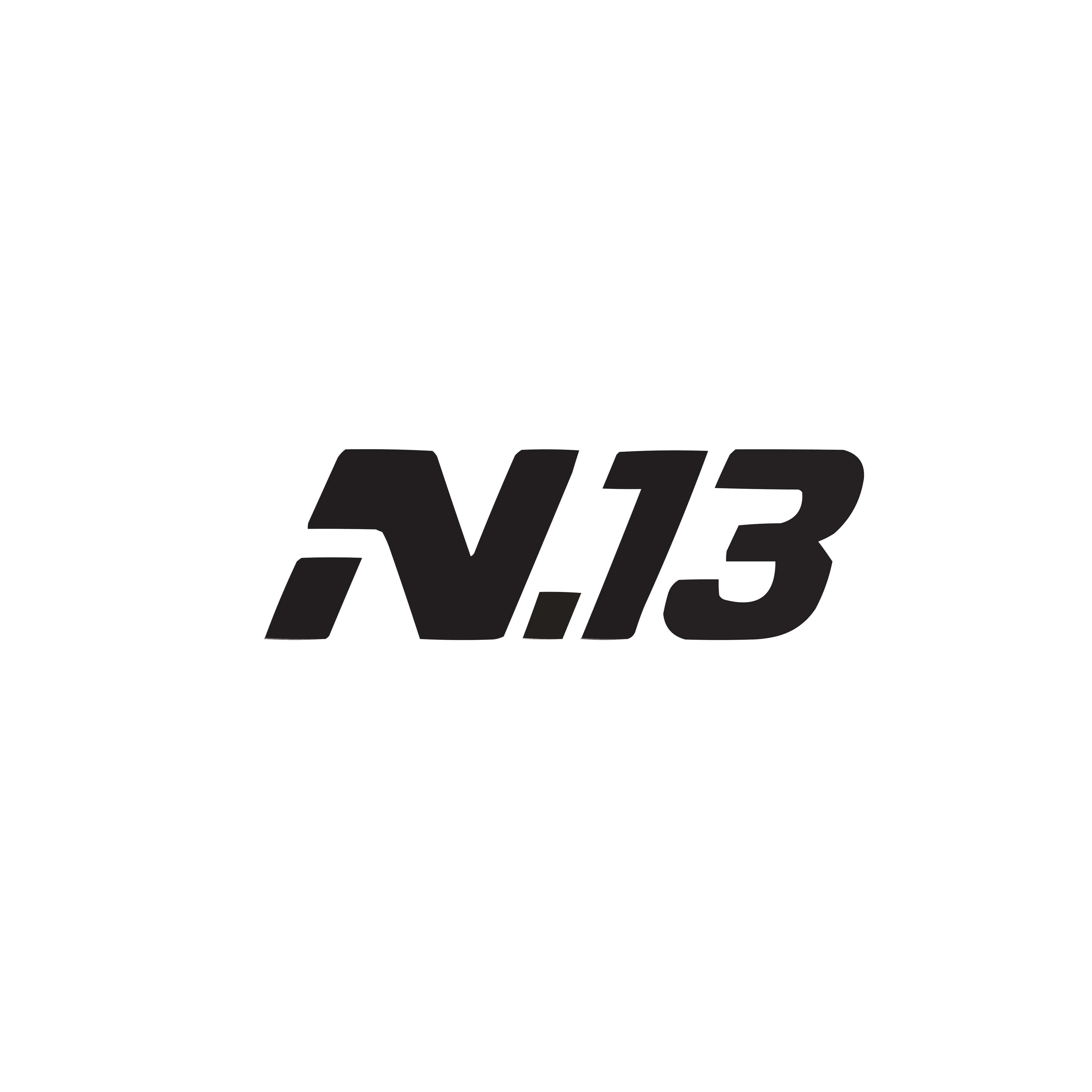 logotipo N.13